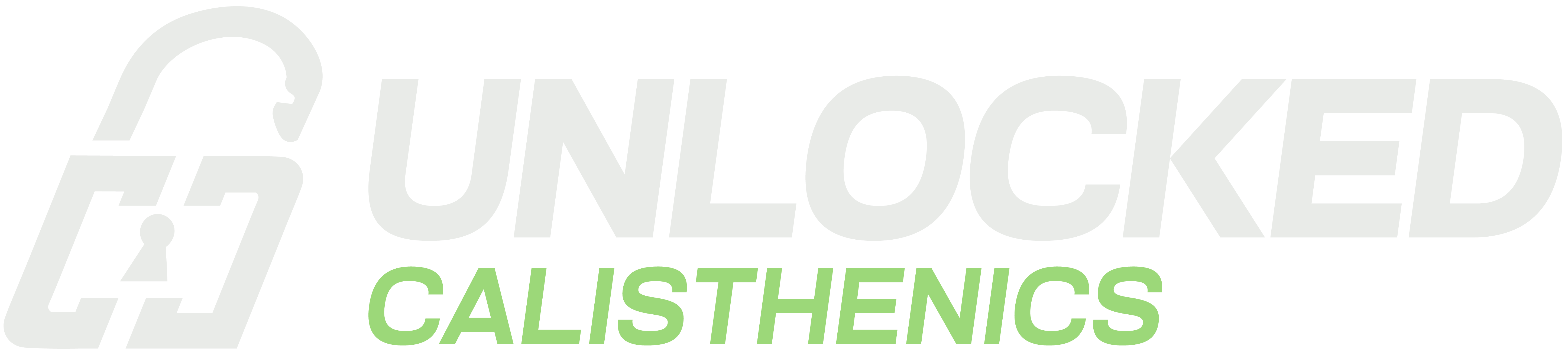 Unlocked Calisthenics